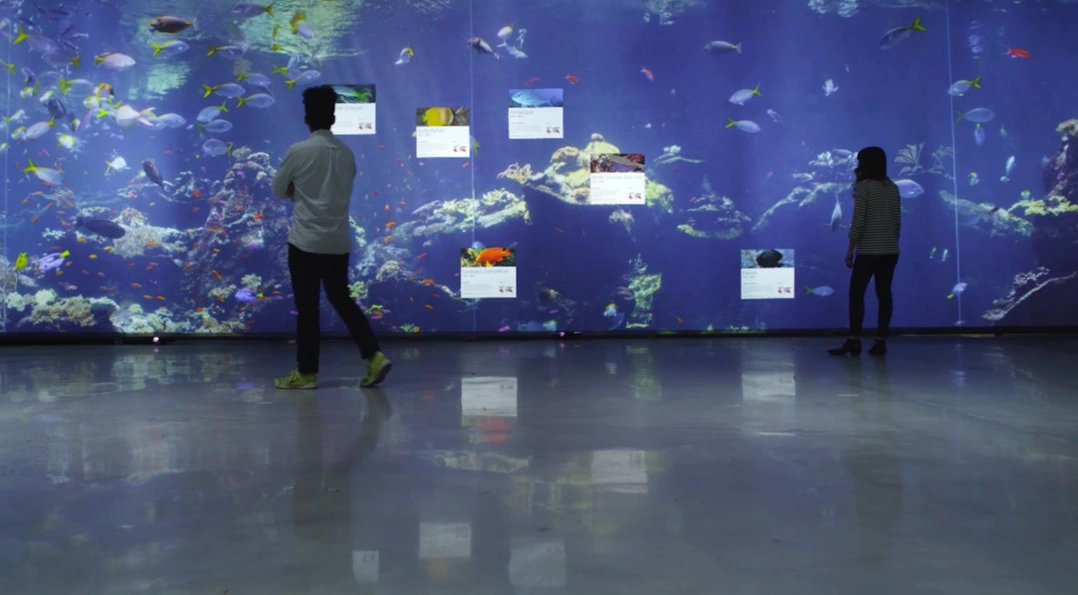 Two people in front of a wall-sized aquarium projection, with individual information panels layered over the shared scene.